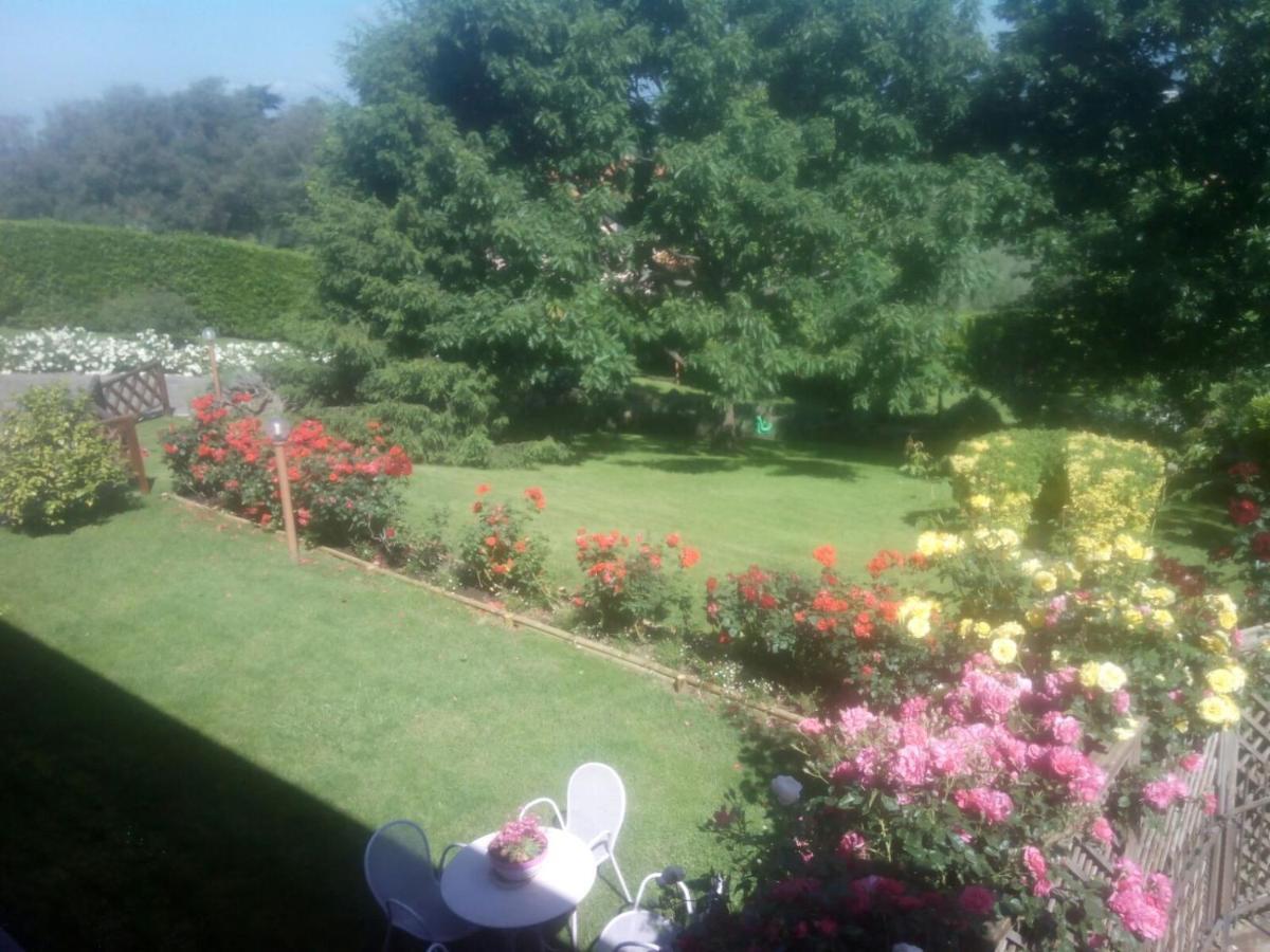 La Staccionata Bianca Bed and Breakfast Βιτέρμπο Εξωτερικό φωτογραφία